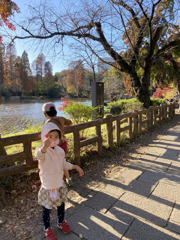 井の頭公園 紅葉 おんがくとアートのきょうしつ T Co