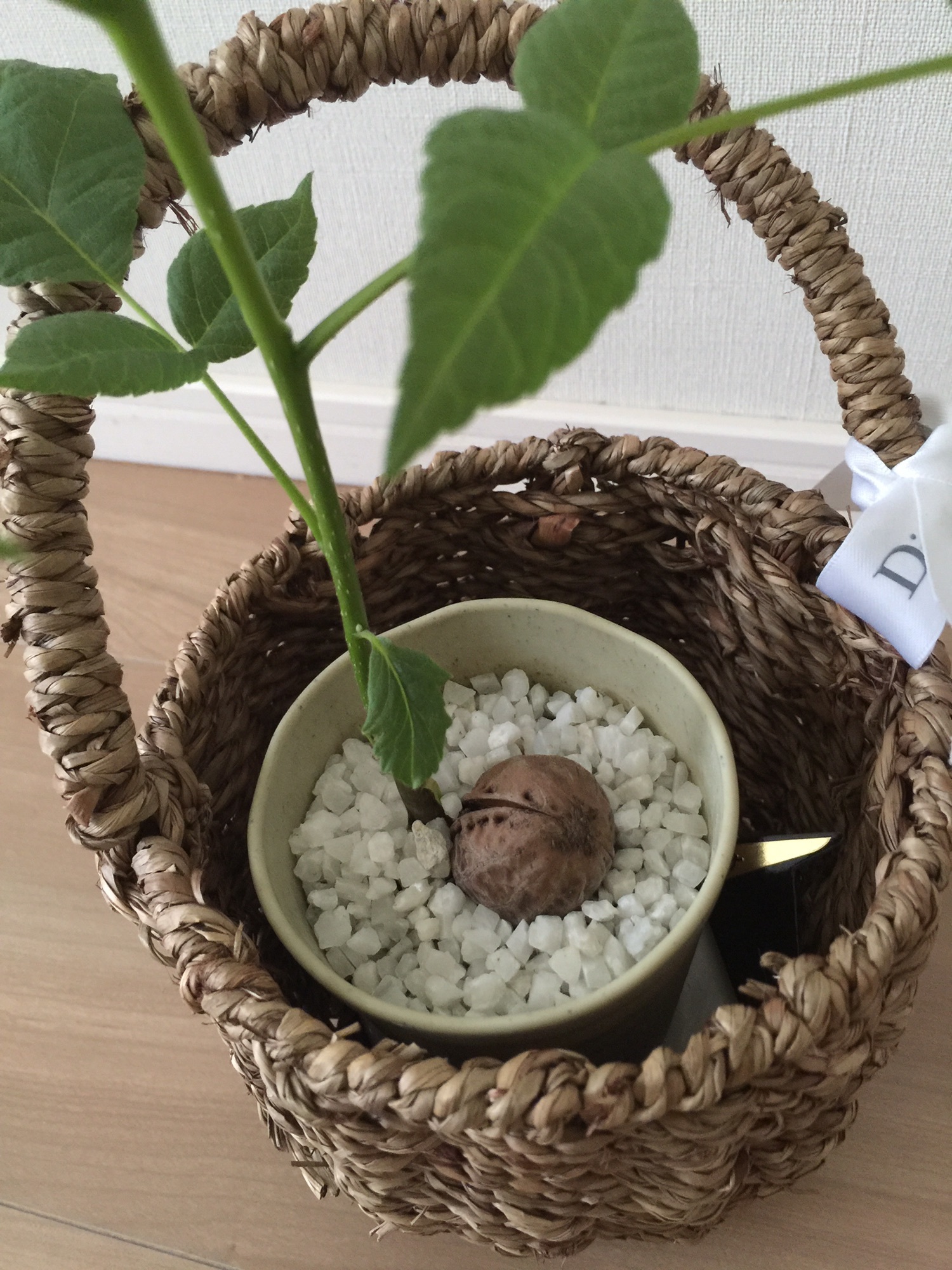 750e5c3569612eca96541fea66d56b