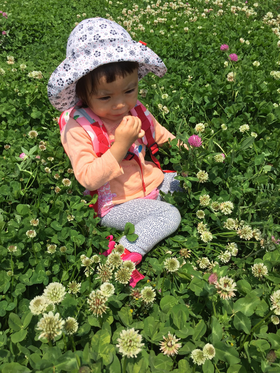 シロツメクサとアカツメクサの花冠 おんがくとアートのきょうしつ T Co