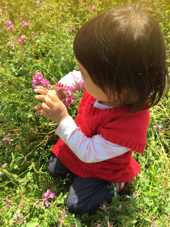 レンゲソウの花冠 おんがくとアートのきょうしつ T Co