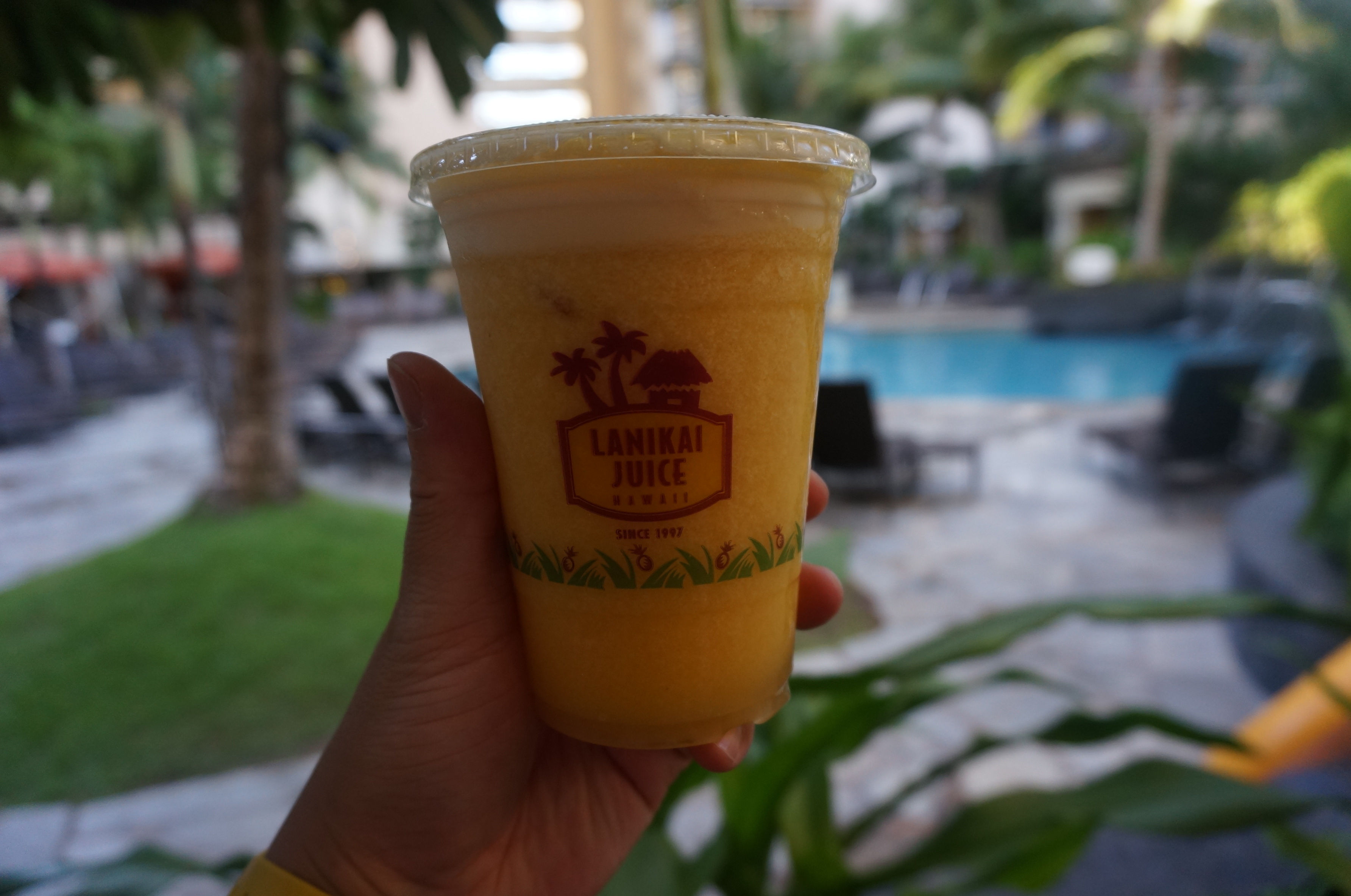 LANIKAI JUICE おんがくとアートのきょうしつ T＆Co.