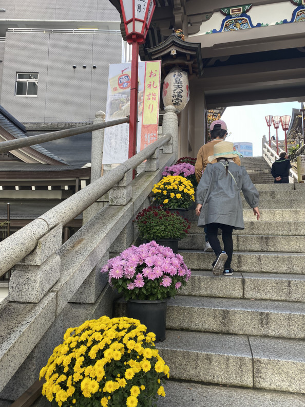 湯島天神 菊まつり おんがくとアートのきょうしつ T Co