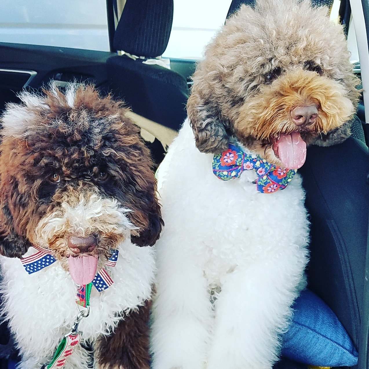 チロリアンテープの様々な使い方 Tukurite