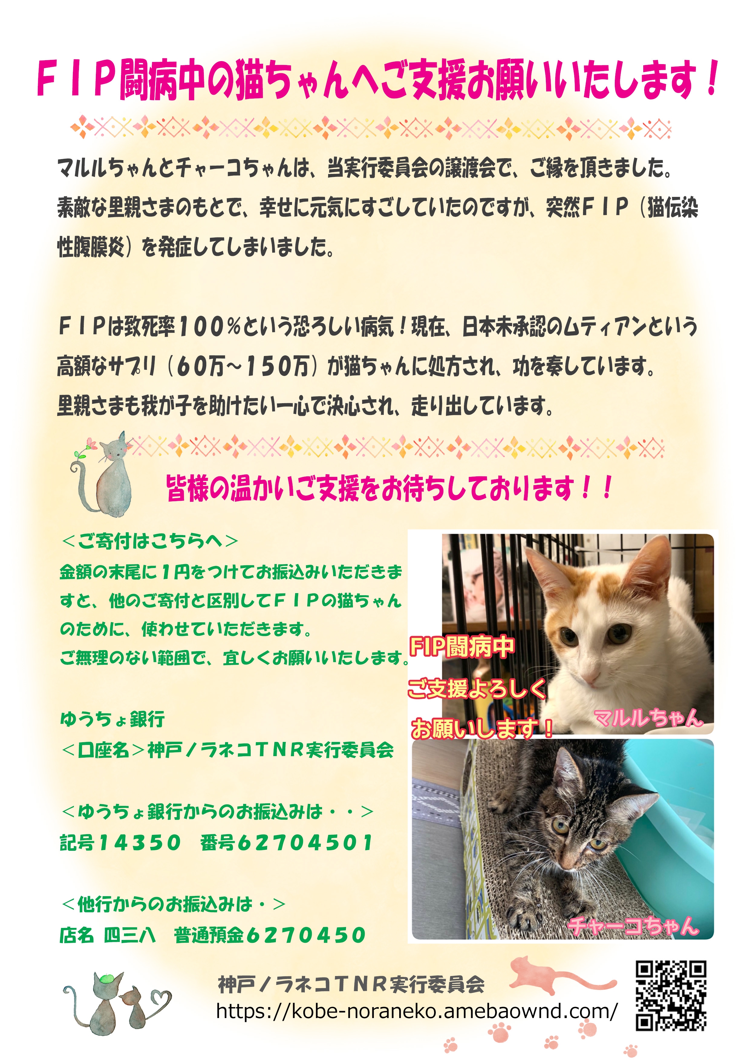 チャーコちゃんも、ムティアン開始！  神戸ノラネコ🐱TNR🐱🐾🐾実行委員会