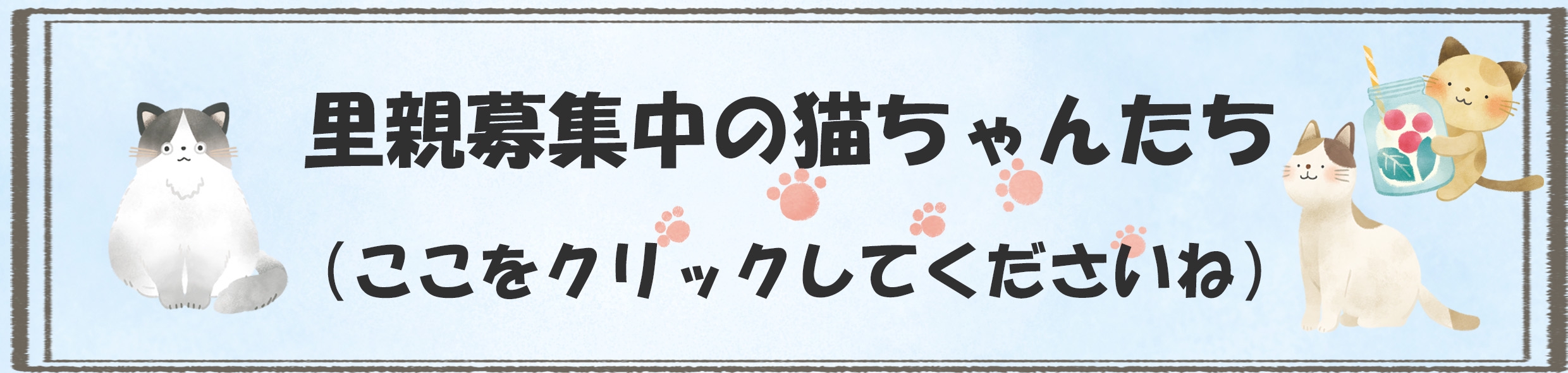 神戸ノラネコ🐱TNR🐱🐾🐾実行委員会