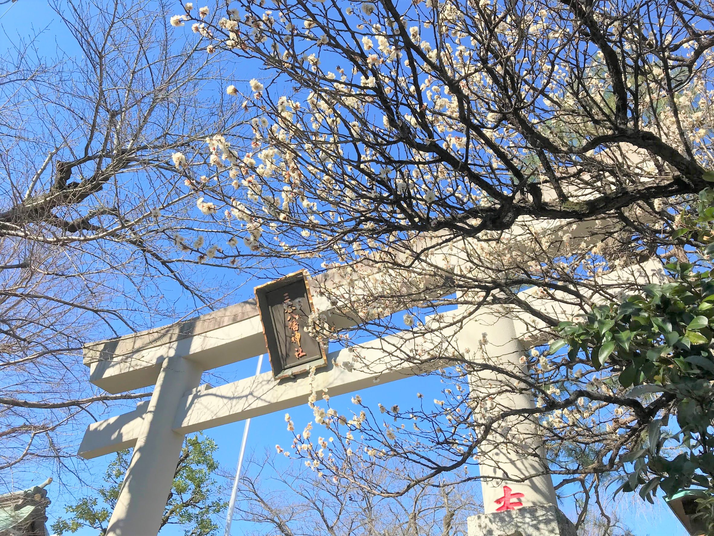 令和4年 3月のお知らせ | 三谷八幡神社｜公式サイト