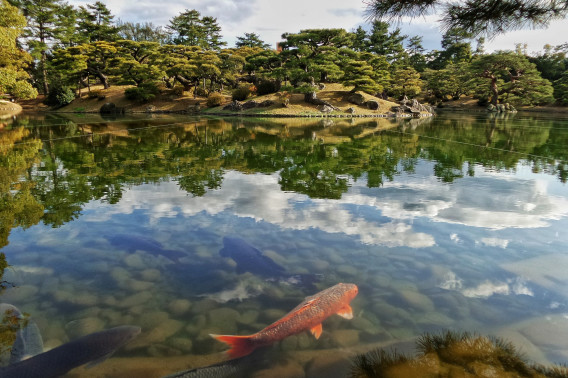 Ⅱ かるばにっくすぱしすてむ 破っ 