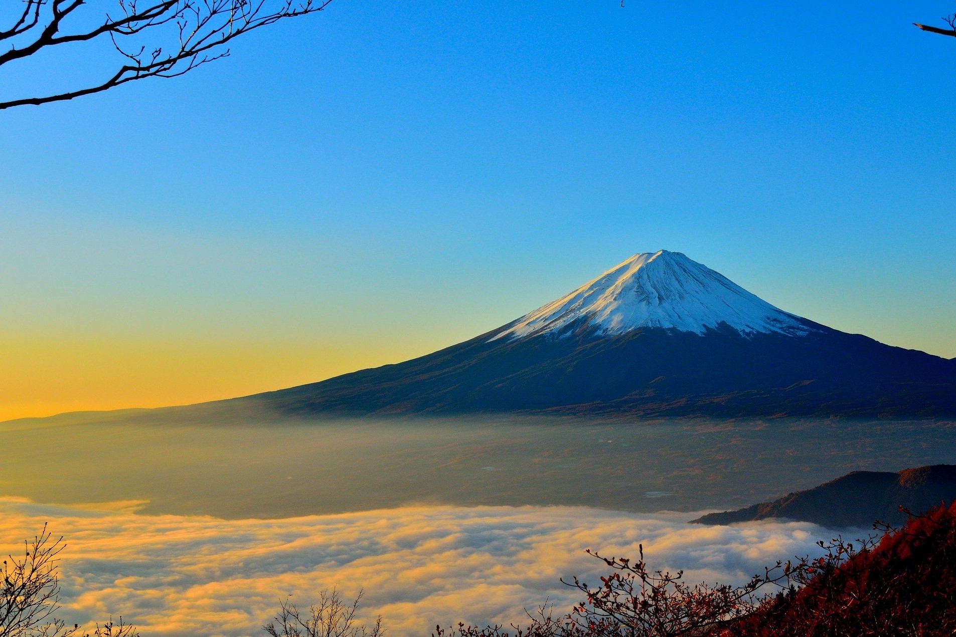 特集記事 高橋空山