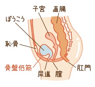 産後のケアは特に大切 ｓｅｎnoｈａｎａ