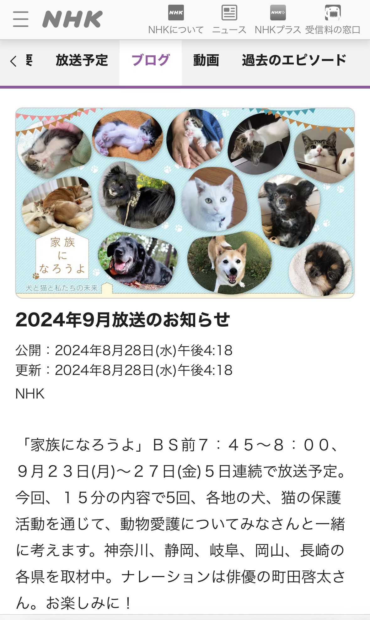 NHK「家族になろうよ」放送決定！ | 特定非営利活動法人子猫園ベルソーデシャトンズ子猫園ベルソーデシャトンズ