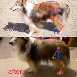 イーズ動物往診所