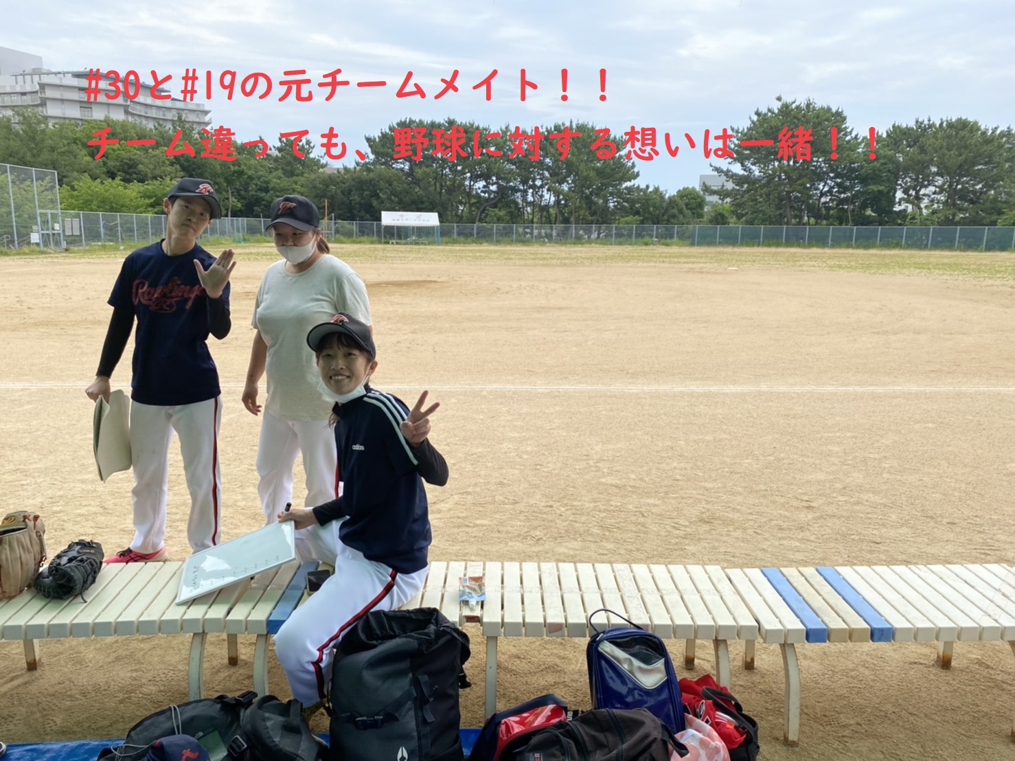 野球（スポーツ）に関するWebメディア