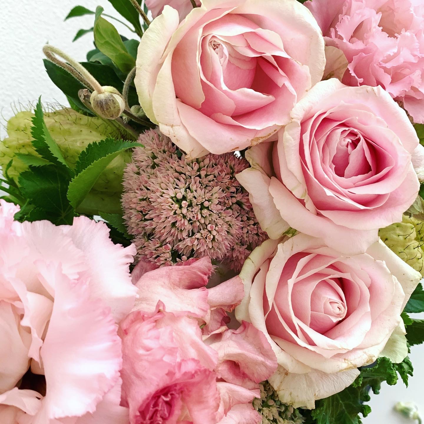 CONTACT L'atelier Rose