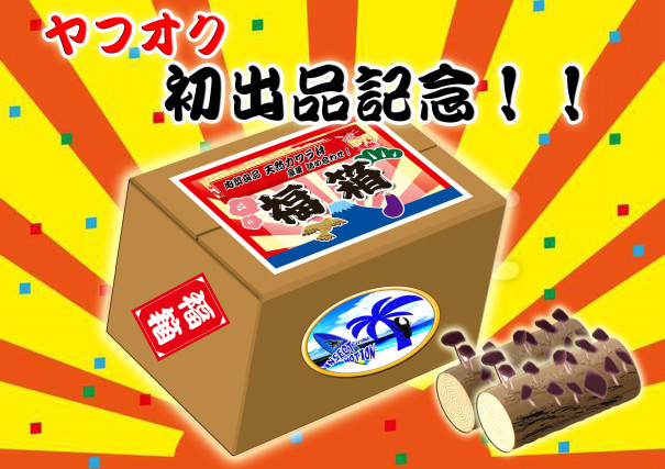 オークション出品中の材について | insect ☆ motion