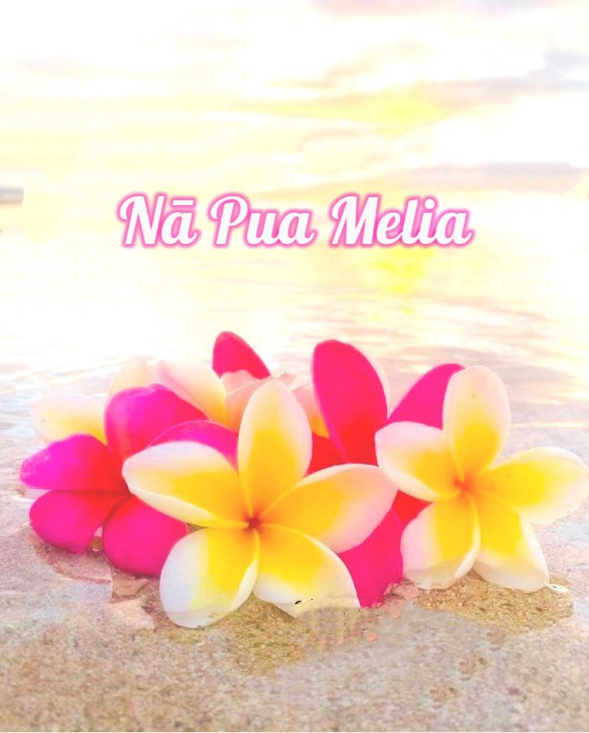 Nā Pua Melia 結成♡ | Nā Pua Melia