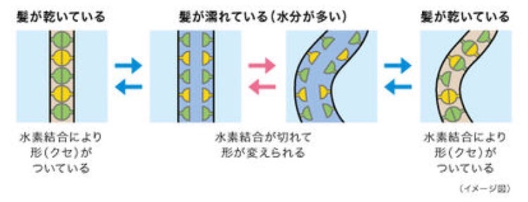 くせ毛女子必見 なぜ雨の日は髪がうねる Bonds Blog