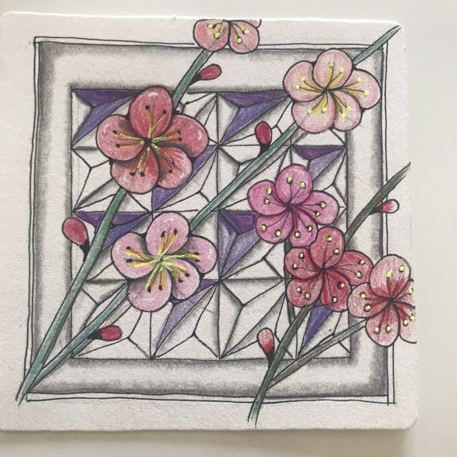 インスタlive 4 梅の花 きぬこのzensology ゼンタングルの世界