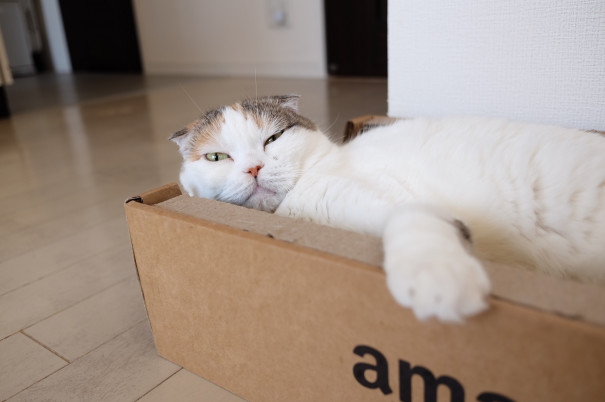 最終的にバーボンハウスな日 豆腐の間借り