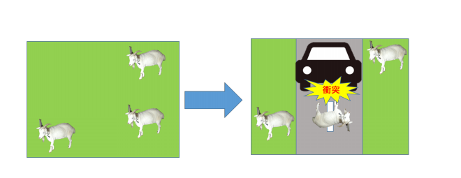 ロードキルとは 道路と生物勉強会