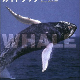 年09月の記事一覧 ページ8 William Online Books