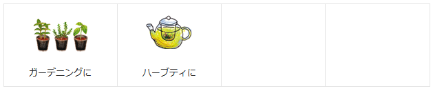 シナモンに似た甘い香りのハーブティを シナモンバジル ポタジェガーデン 公式サイト