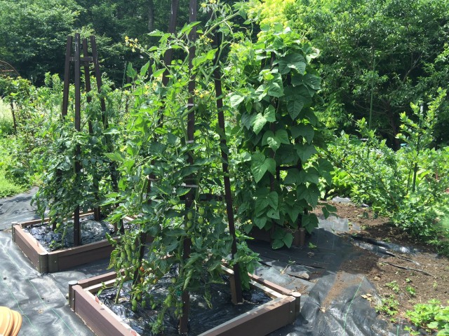 ポタジェ 【ポタジェガーデン】公式サイト