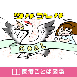 医療ことば図鑑 エキスパートナースweb