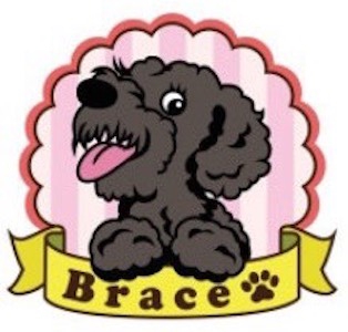 Trimming Room Braceの外観