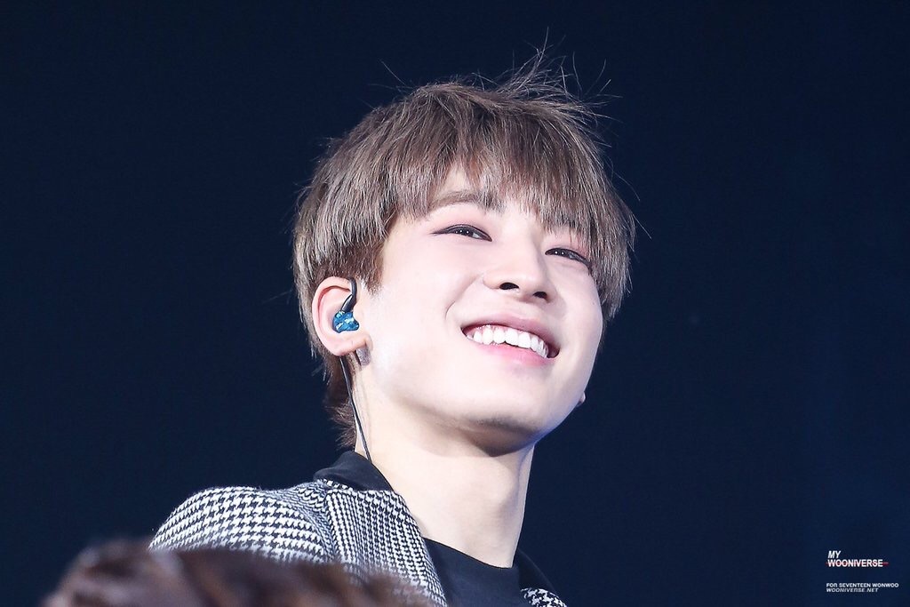 アンコン、ウォヌ④ | WONWOO୨୧CARAT