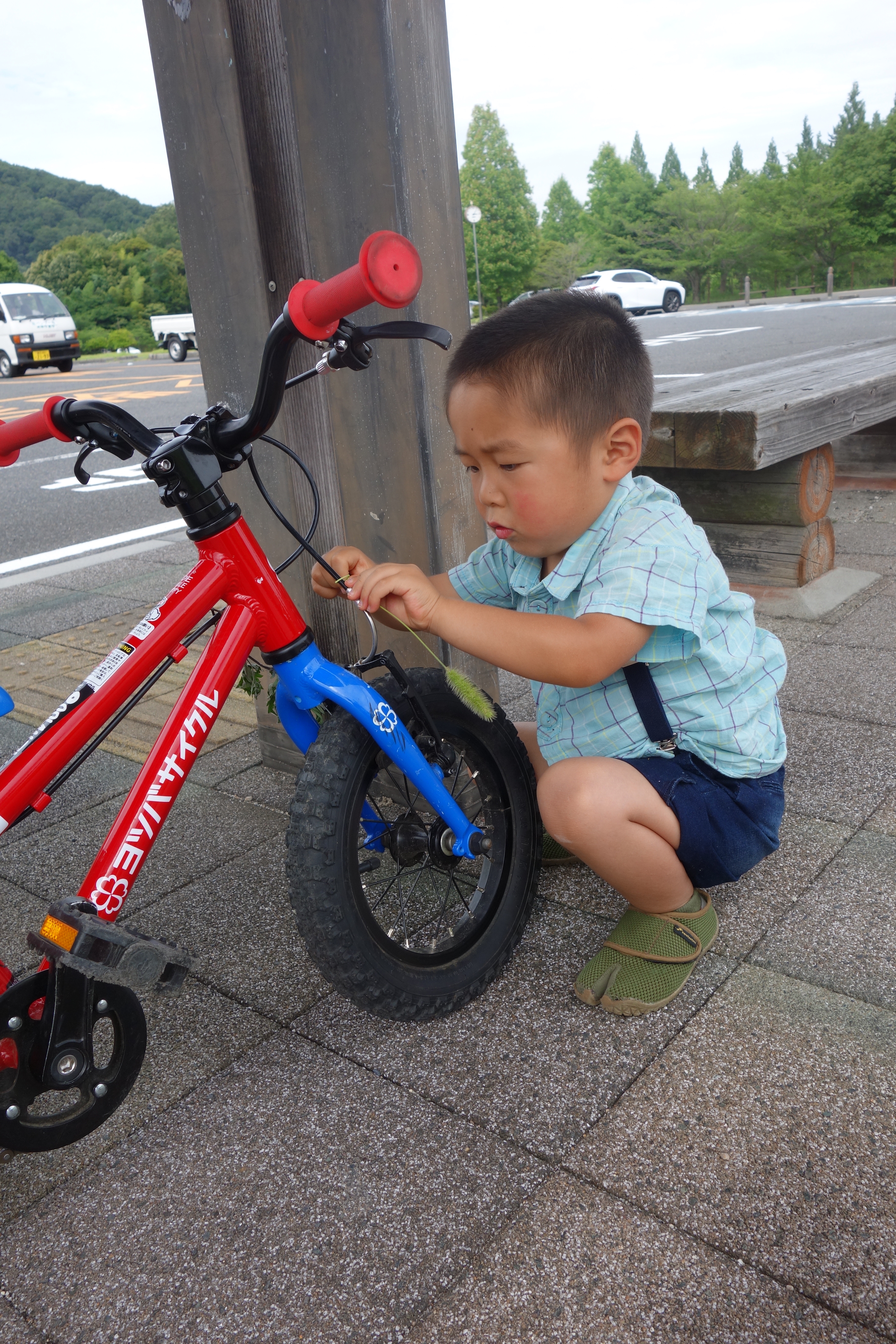 乳児 販売 自転車 サングラス