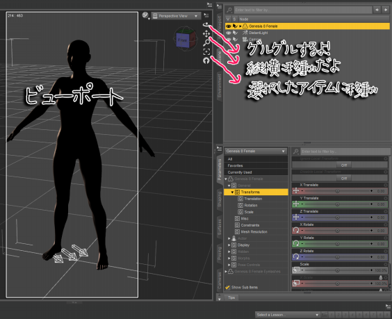 Daz Studio Tipsをできるだけ日本語で解説する ビューポート かすみん S Daz Studio Gallery