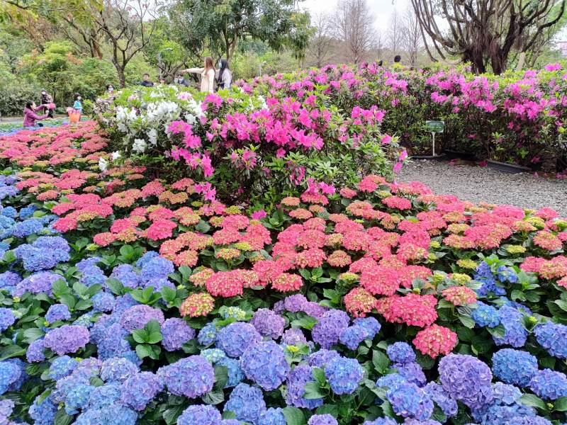 08c92c05c450afb47801953af95e12