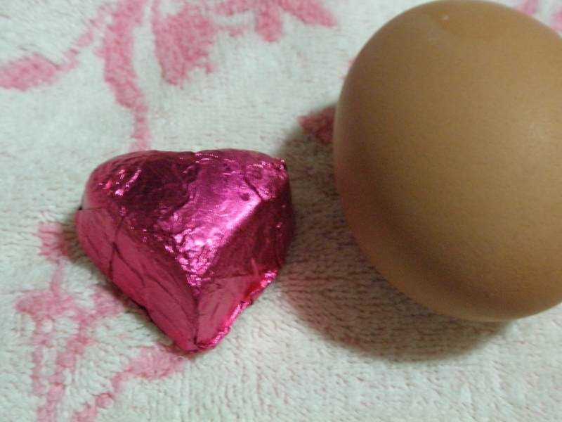 秋の新埔＆関西大冒険～人情の旅～⑧完結編：関西B級グルメ（2012年10