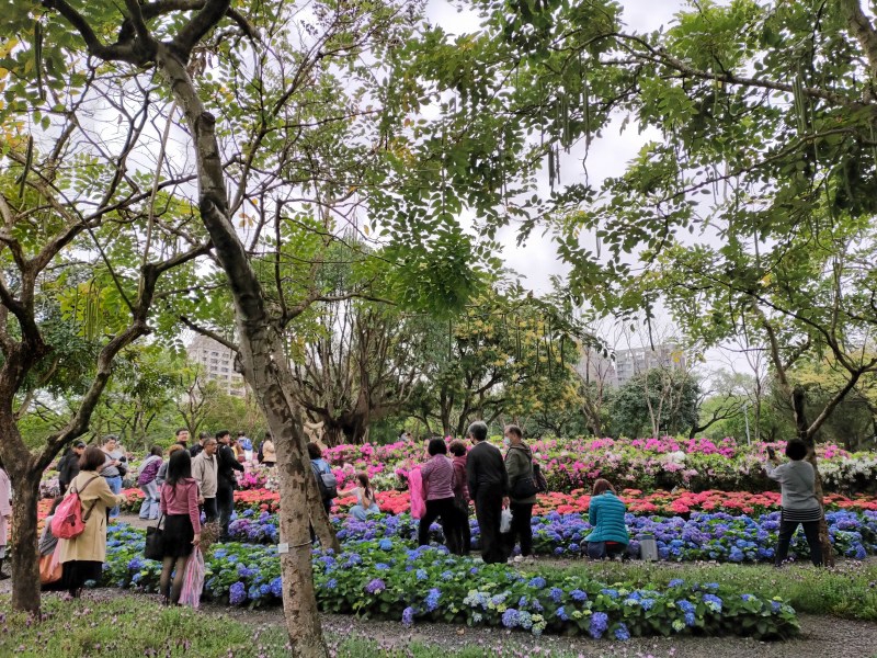 花林 大安森林公園の新スポット「杜鵑冶園」でツツジと紫陽花のお花見