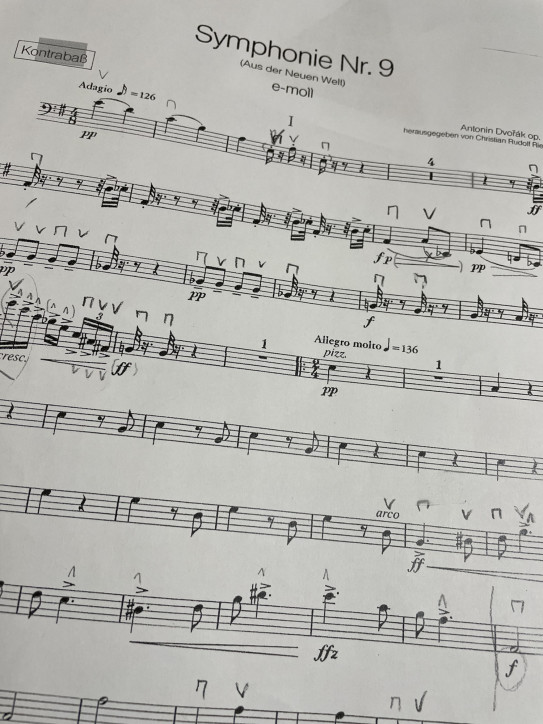 ドヴォルザーク コントラバス教室 岡山市 総社 倉敷 ラパンミュージック