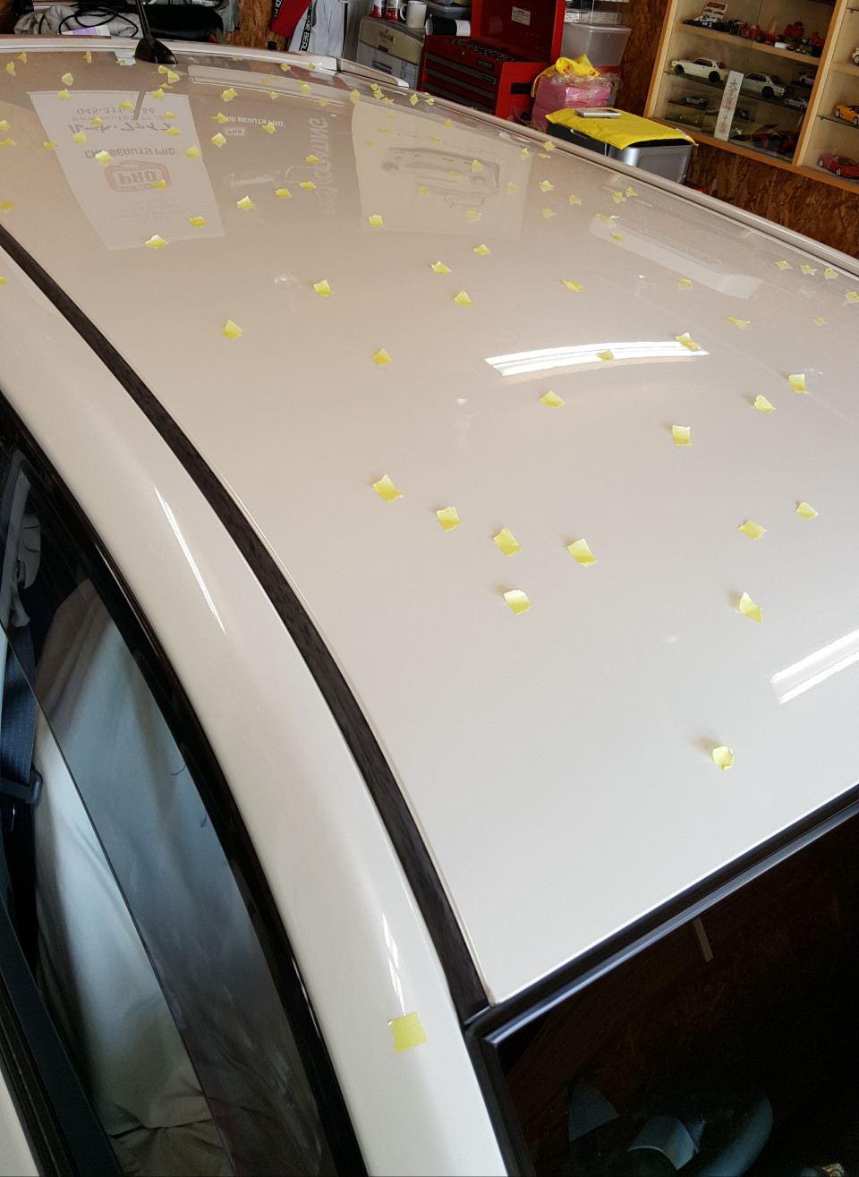 東京都 八王子市にて ひょう害車ネットワーク