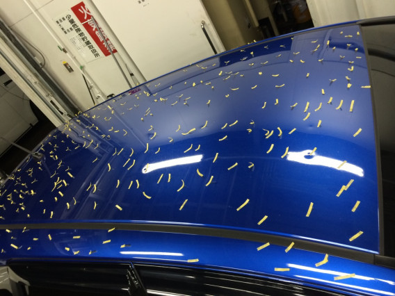 ひょう害車ネット ひょう害車ネットワーク ひょう害車ネット ひょう害車ネットワーク