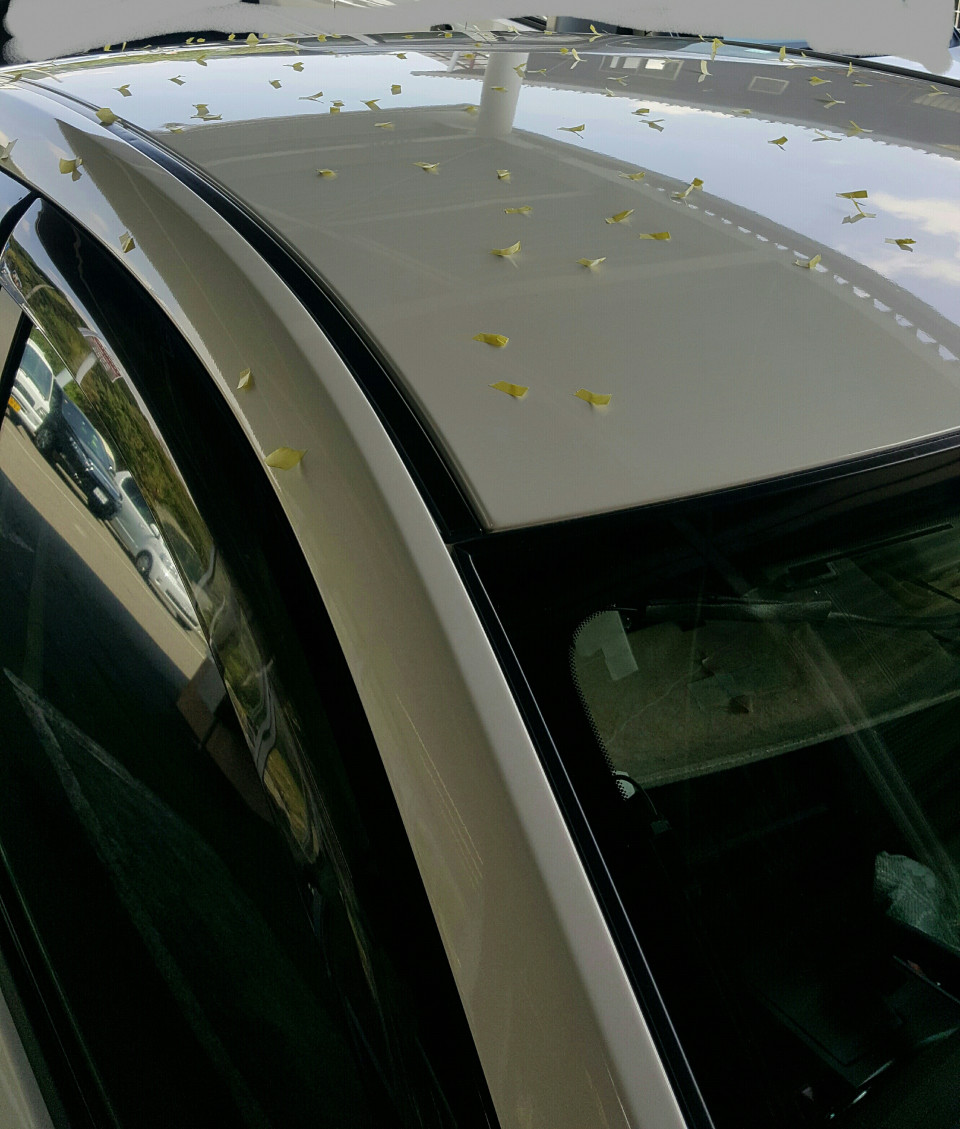 群馬県 吾妻郡にて ひょう害車ネットワーク