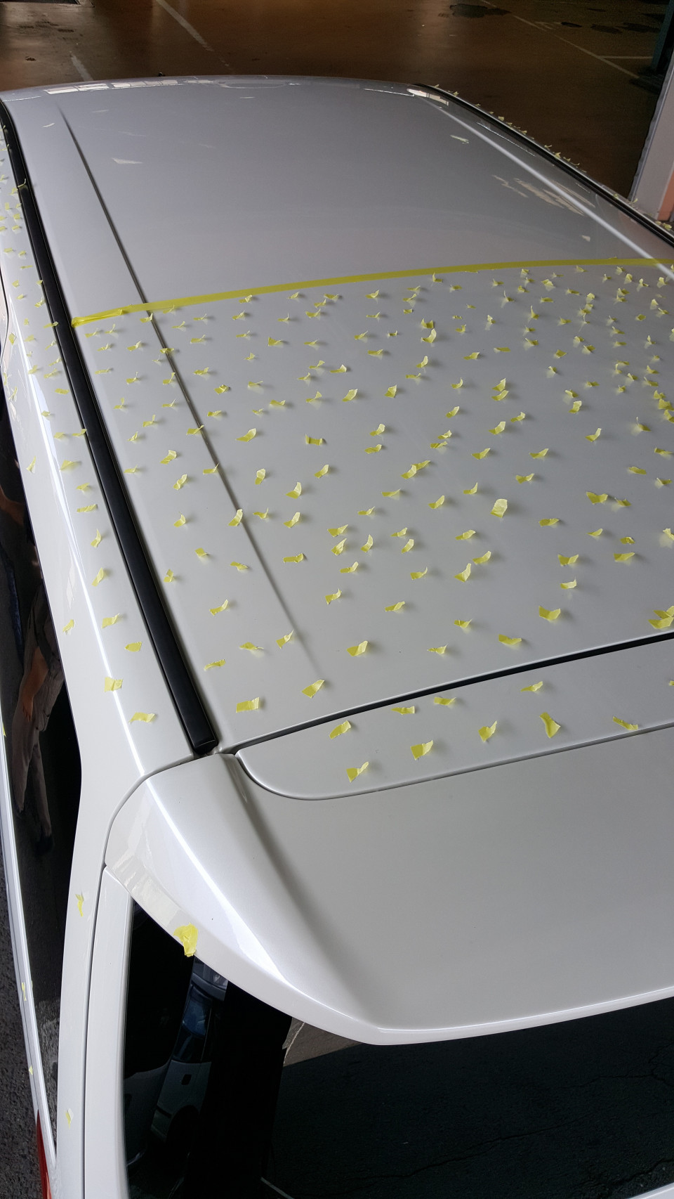 まだまだ ひょう害車ネットワーク