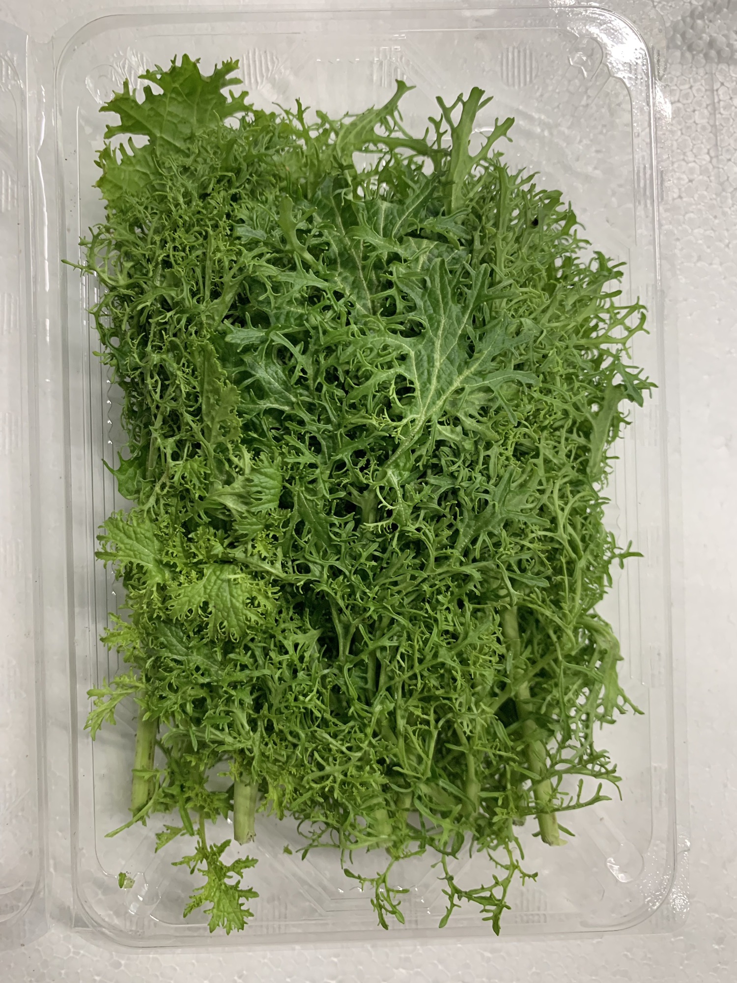 ツリーマスタードグリーン（大分県産） 株式会社 八百巳商店