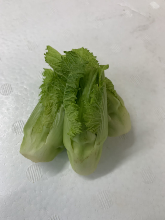 蕾菜 つぼみな 株式会社 八百巳商店 蕾菜 つぼみな 株式会社 八百巳商店