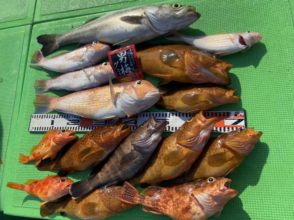 釣りものについて 釣り船 すし丸