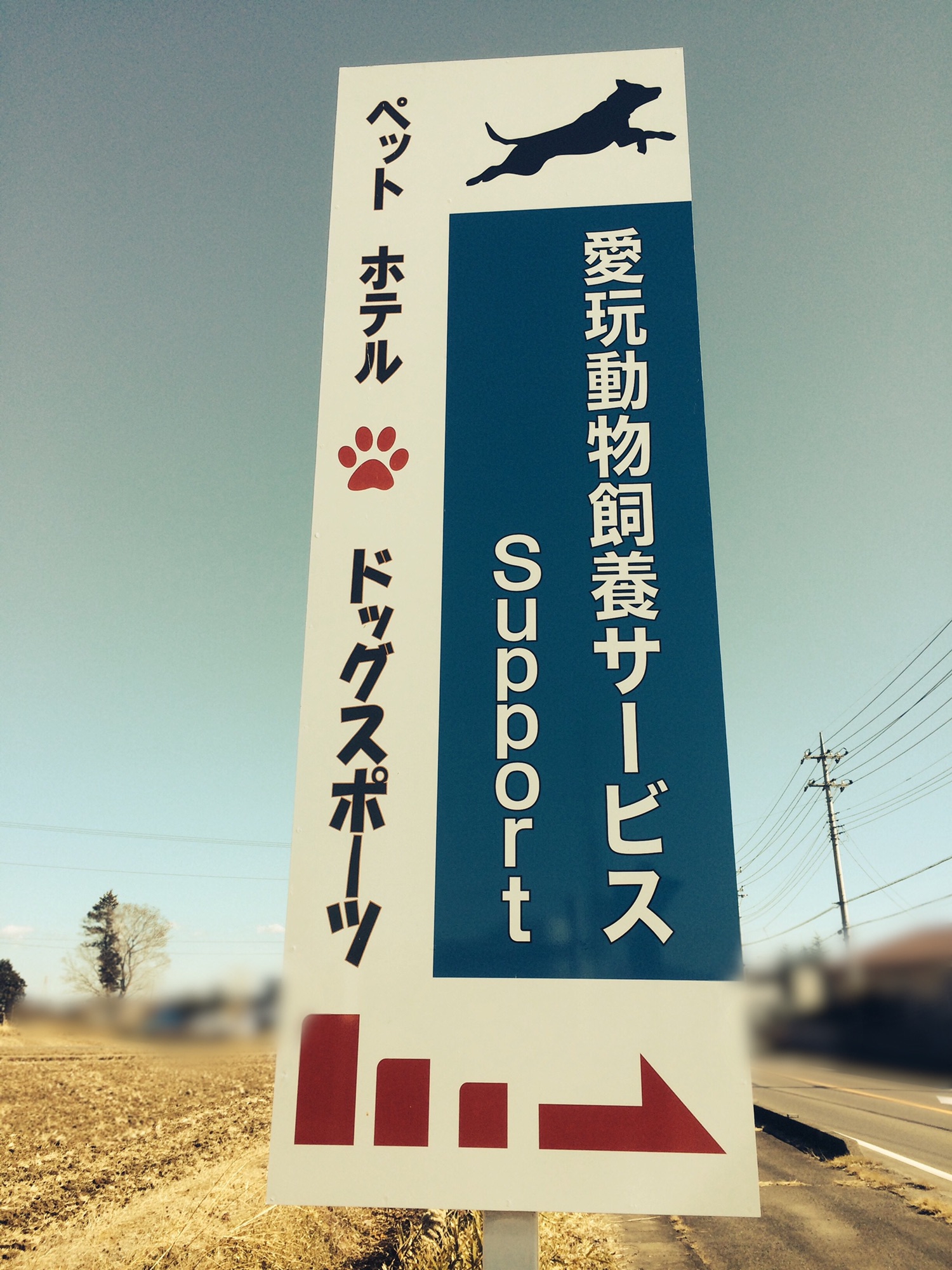 お気軽にお問い合わせ下さい Animal Support Mito S Ownd