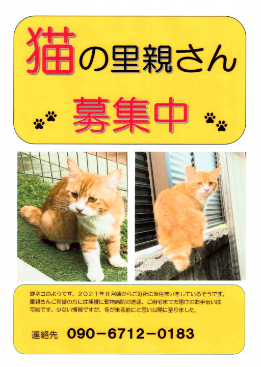 Animal Support Mito S Ownd