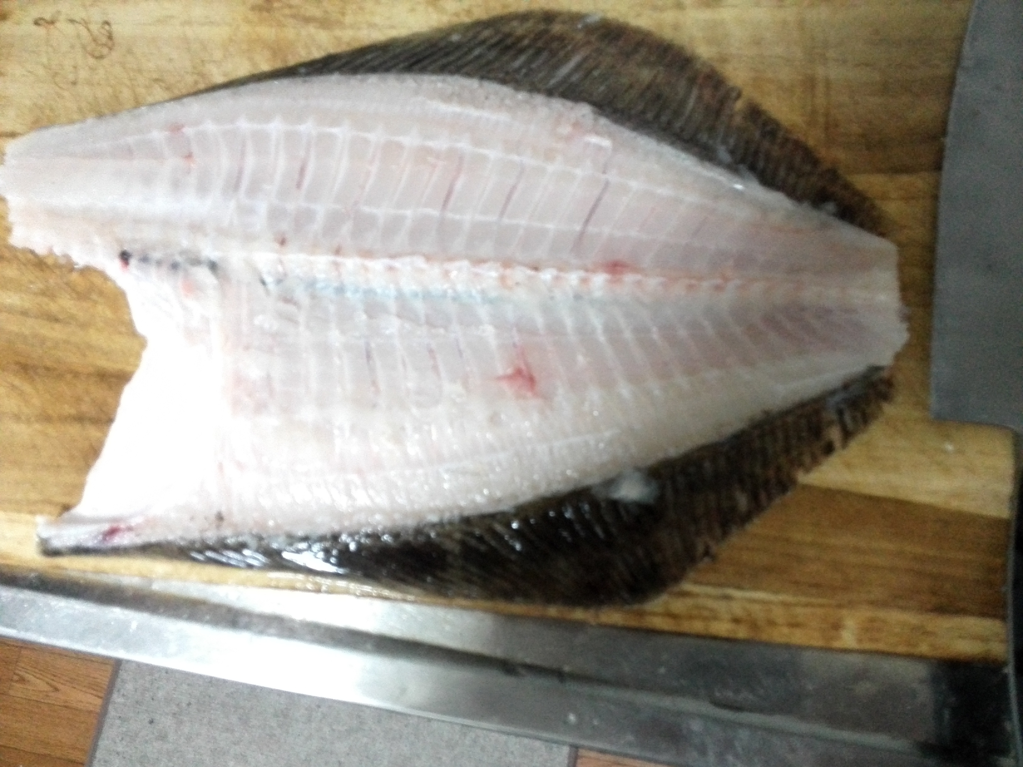 驚き 太刀魚の旨さ ヒラメのお刺身 そよかぜ釣行記