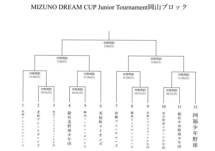 ミズノ dream will come true合計2本 野球