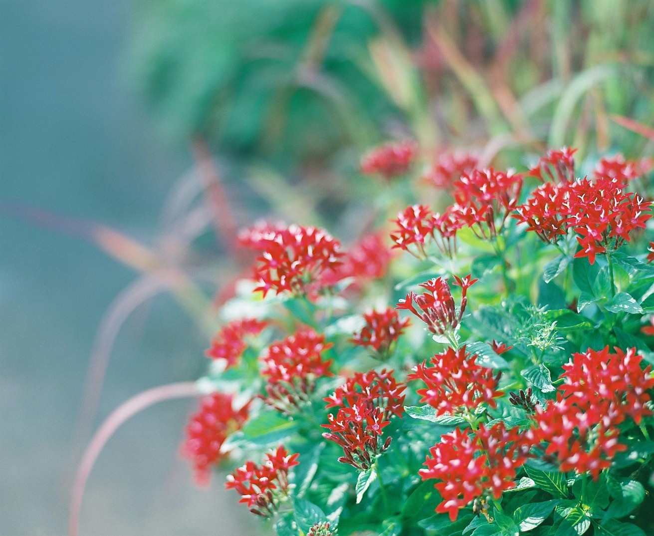 mamiya RZ67＋mamiya SEKOR Z 110mm F/2.8での実写レビュー（作例