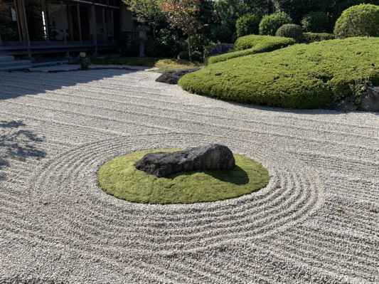 こけ庭専門の施工 苔g こけじぃ