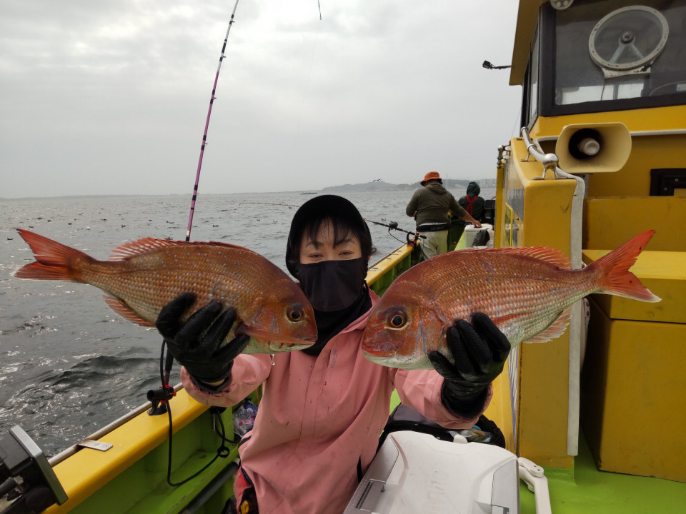 マダイ0.6~1.5kg 0―2枚