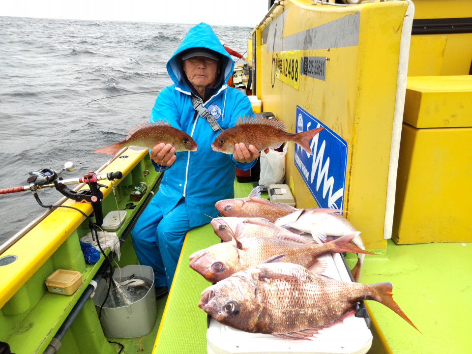 マダイ0.5~2.5kg 1―7枚